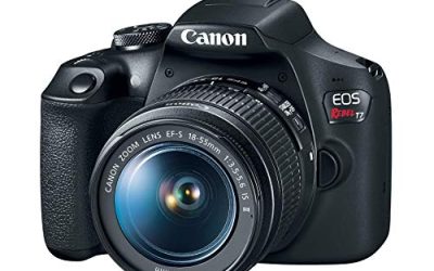 8 Best Cameras under 500 (October 2026)