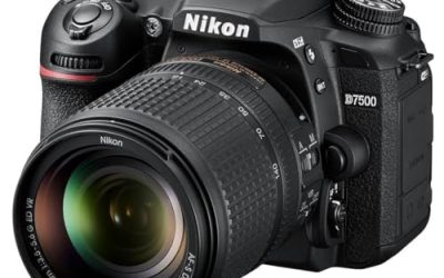 7 Best Nikon Cameras (October 2026)
